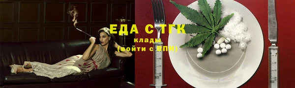 СК Новозыбков