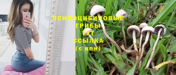спайс Абаза