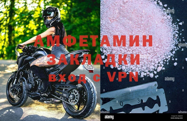 СК Новозыбков