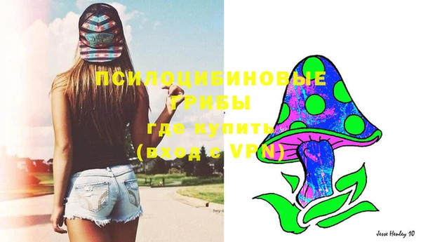 метадон Новодвинск