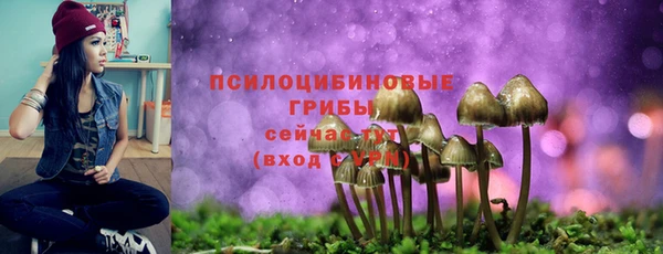 ALPHA-PVP Нягань