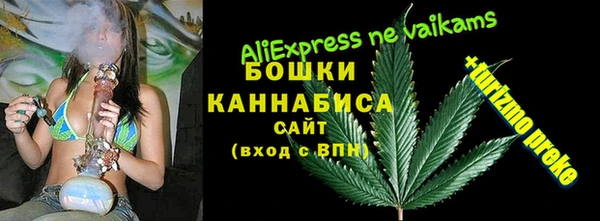 СК Новозыбков