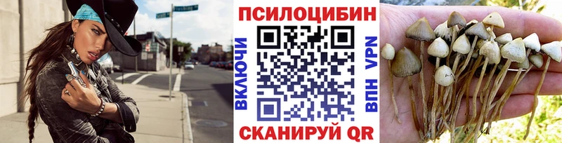 Галлюциногенные грибы Psilocybine cubensis  цены   Кемь 